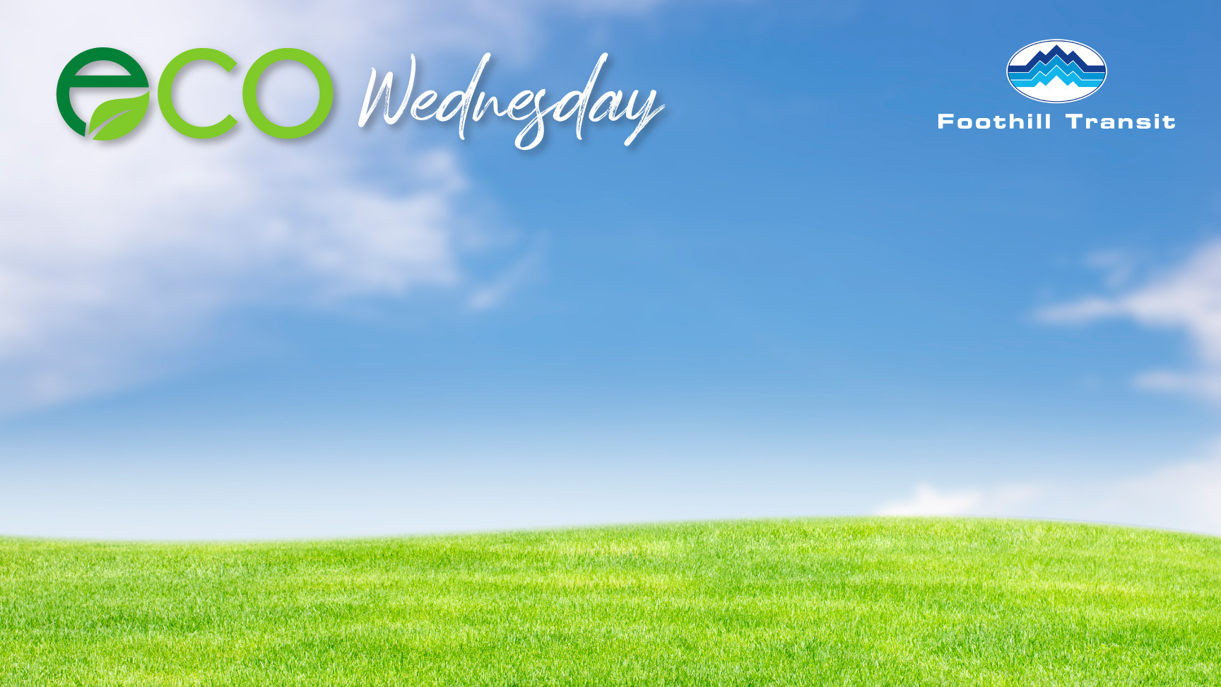 ECO-Wednesday.jpg