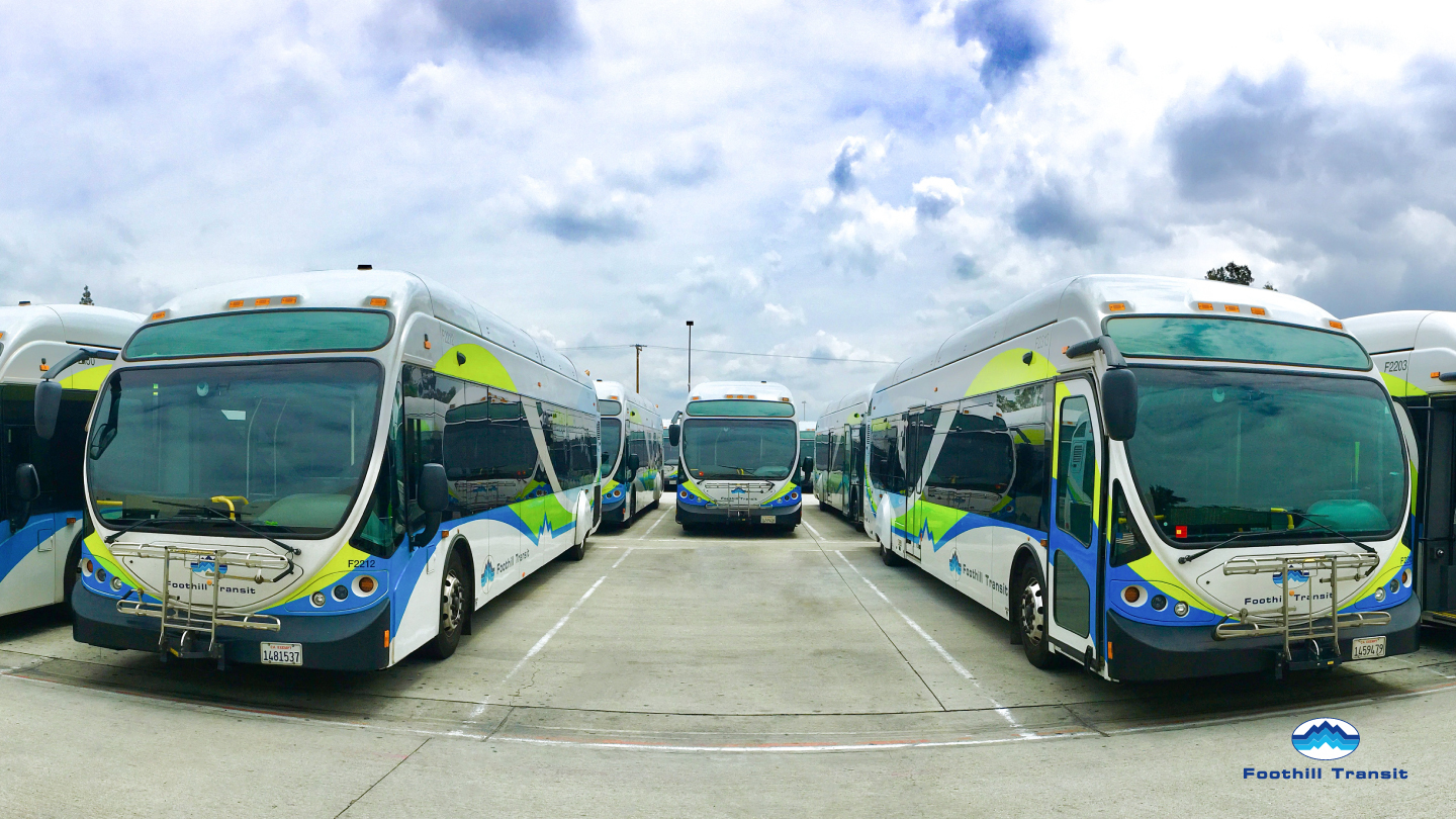 ft_buses2.jpg